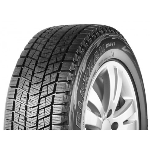 225/55R19 99R, Bridgestone, DM-V1